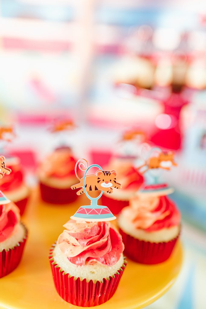 Macy Lima Celebrations and events event planning and design Texas