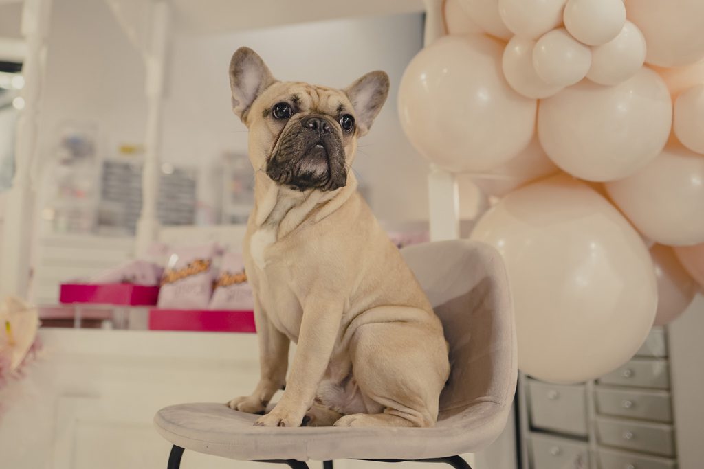 Macy Lima Celebrations event planning and design Texas
